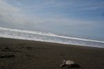 IMG_6467.jpg