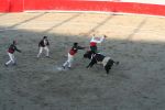IMG_5025.jpg
