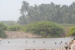 IMG_5176.jpg
