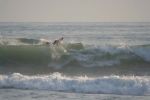 IMG_5316.jpg
